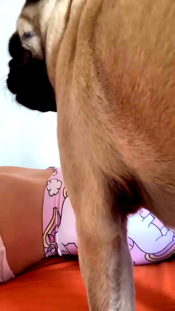 nyityam archive video preview