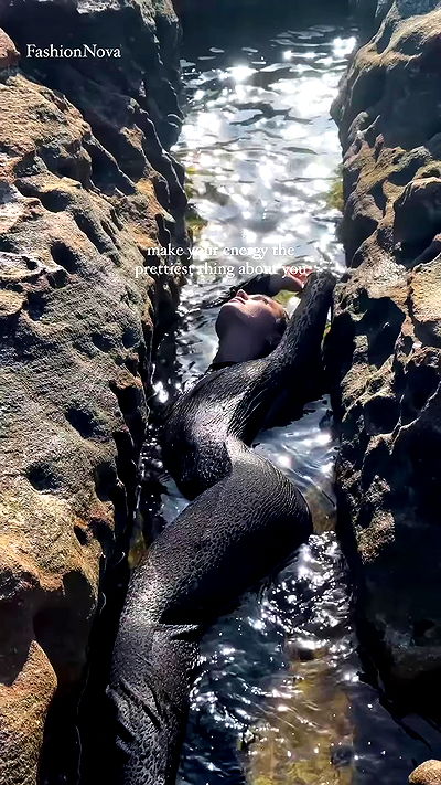 taylor.creeden taylor.creeden archive video