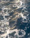 leekssarchive Altpins Profile Picture