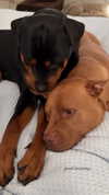 olivia.mathers Altpins Profile Picture