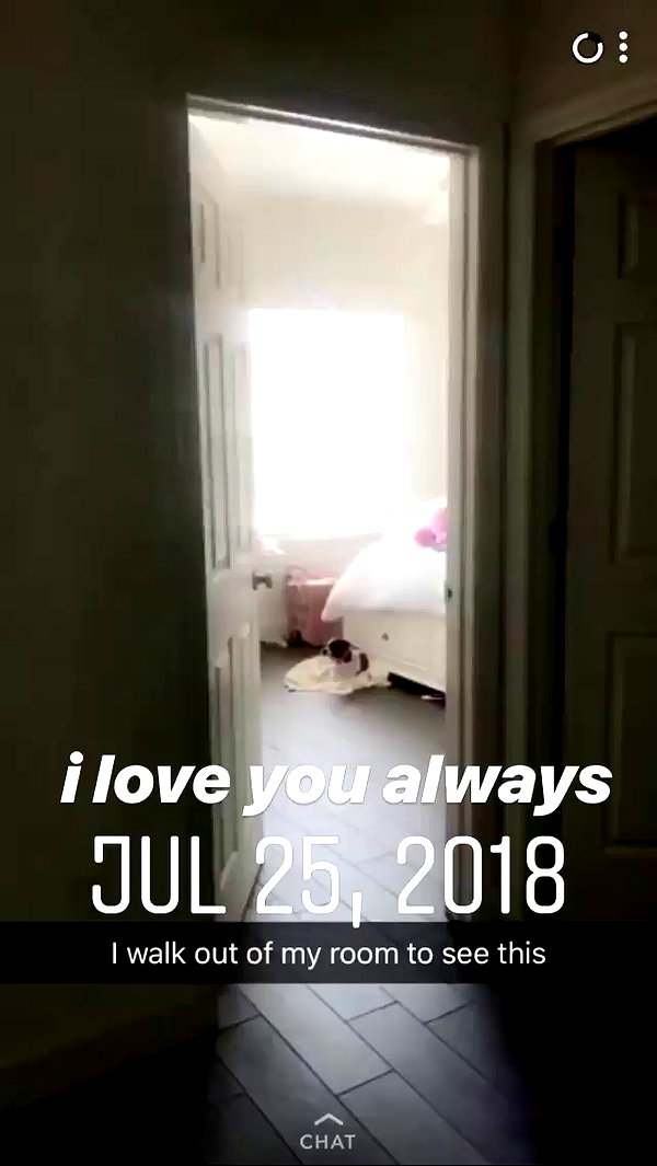 missbrisolo archive video preview