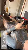 venecatattoo Altpins Profile Picture