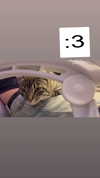 famous_wu24 Altpins Profile Picture