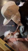 badthingalwaysg Altpins Profile Picture
