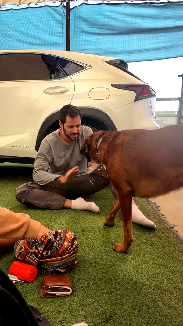 biton__adi archive video preview