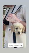emily_new2 Altpins Profile Picture