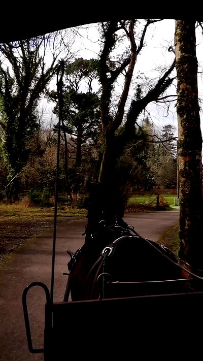 taylor.creeden taylor.creeden archive video