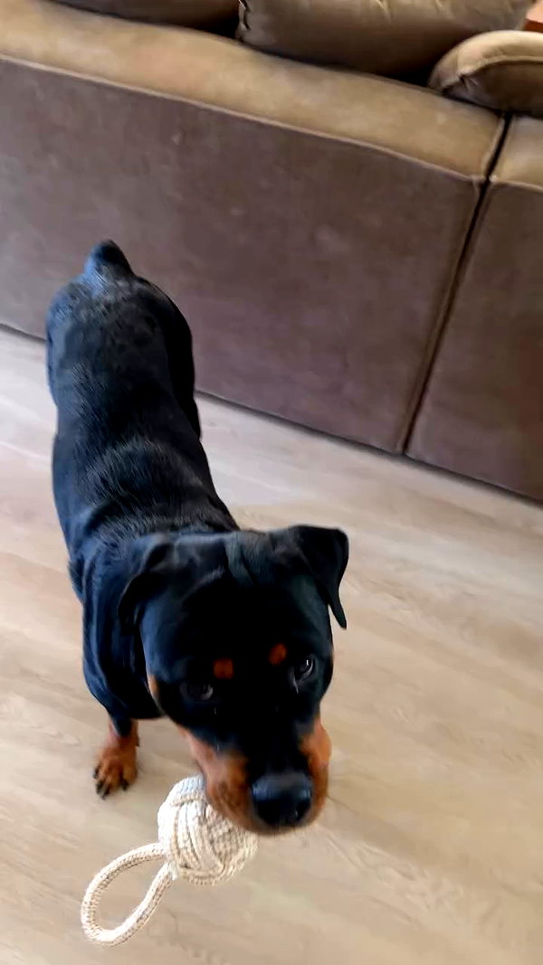 olivia.mathers archive video preview
