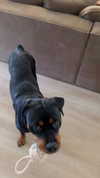 olivia.mathers Altpins Profile Picture