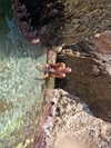 chelsnamsayin Altpins Profile Picture