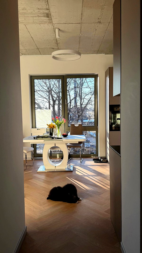 katrina.zaiceva archive video preview