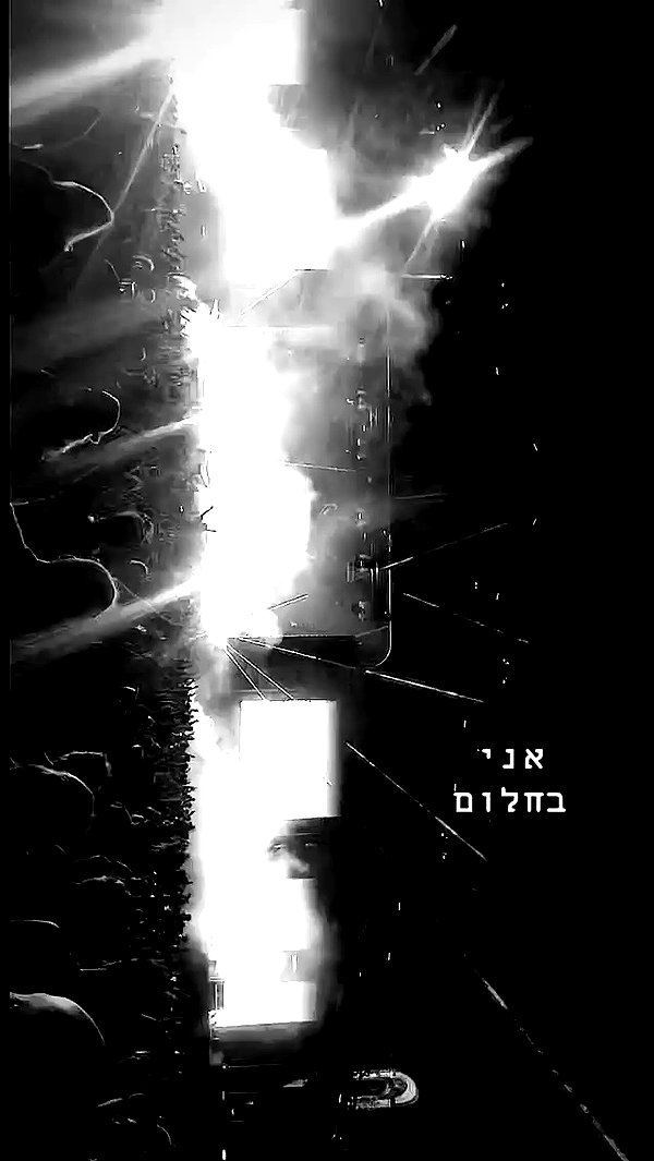 michal_cohen017 archive video preview