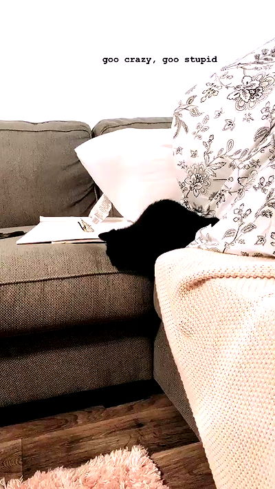 suikomuu suikomuu archive video