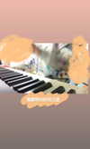 ge.more_x Altpins Profile Picture