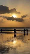 ann.shellll Altpins Profile Picture