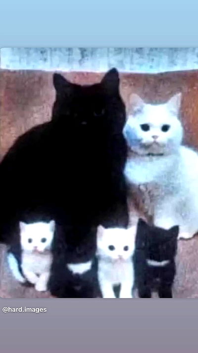 alexandramarianna alexandramarianna archive video