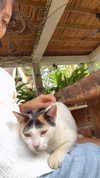 ruth_chavarri Altpins Profile Picture