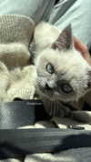 b.zohar Altpins Profile Picture