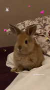 leanxhrt Altpins Profile Picture