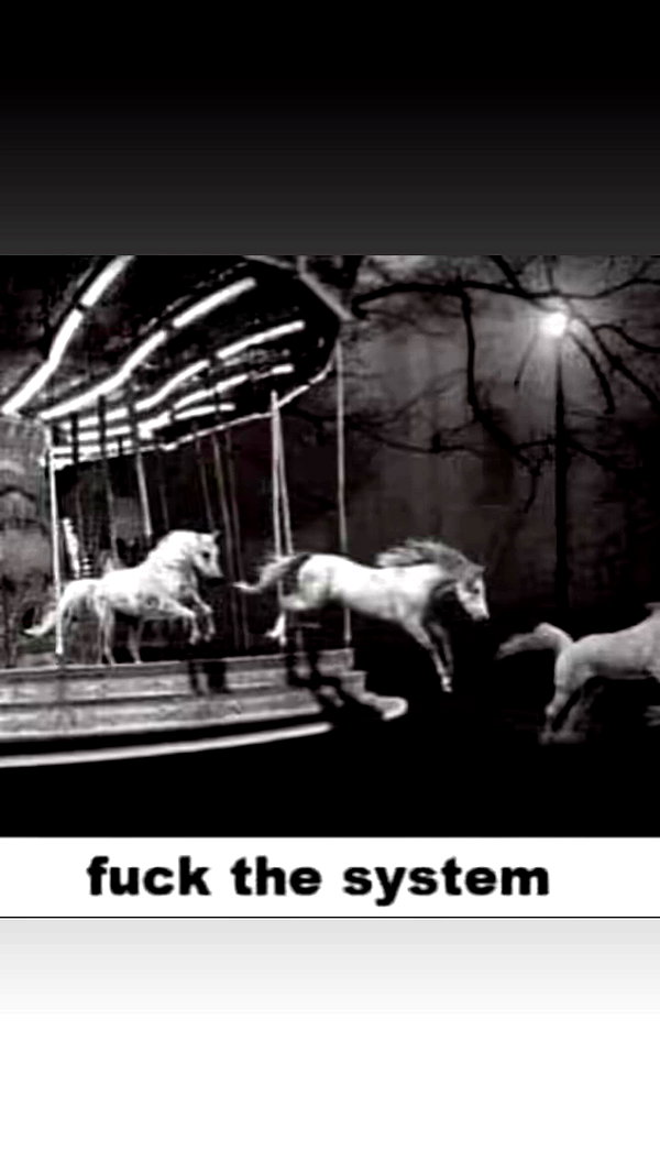 orchidmurmur archive video preview