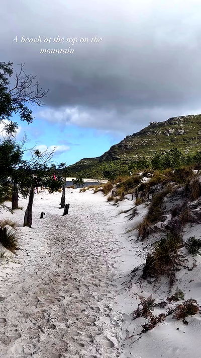 taylor.creeden taylor.creeden archive video