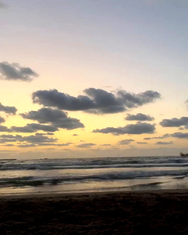 yuval_raz archive video preview