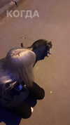 lip.sash Altpins Profile Picture