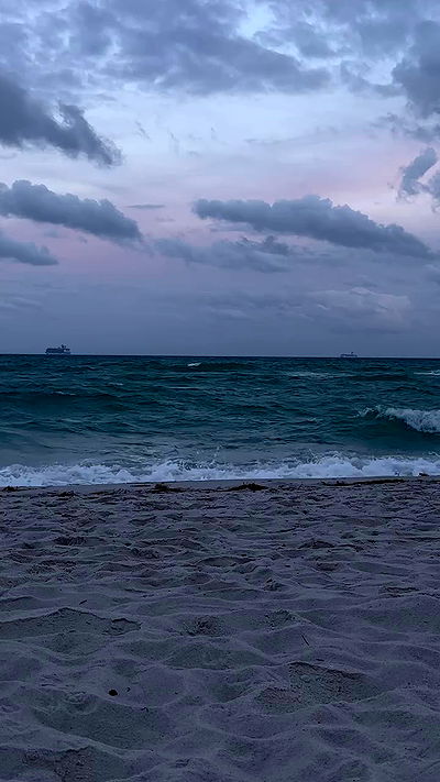 taylor.creeden taylor.creeden archive video