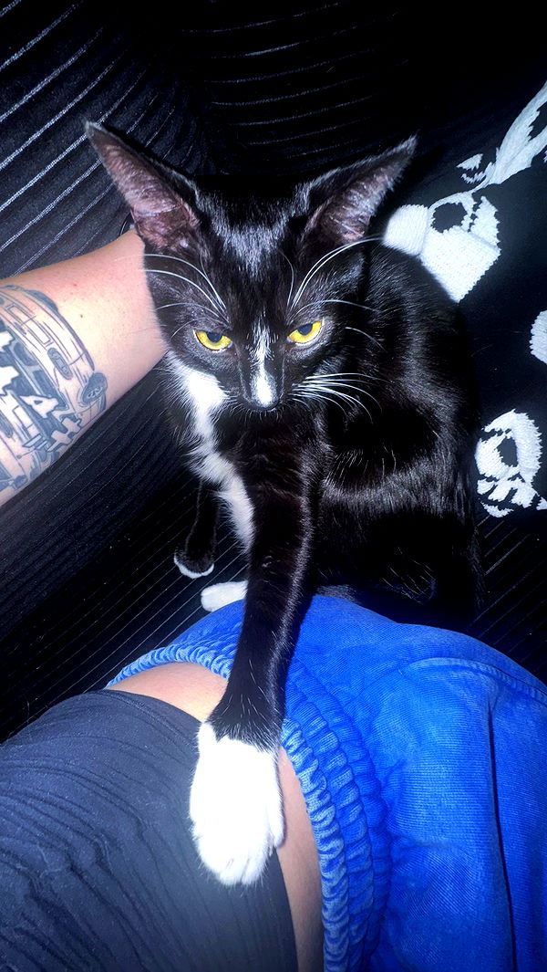 6nattynat9 archive video preview