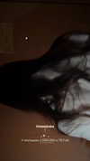 mekhrona_18 Altpins Profile Picture
