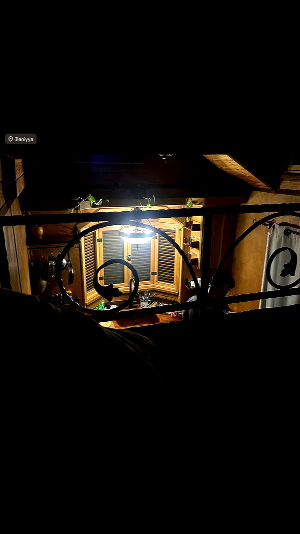 romxcohen archive video preview