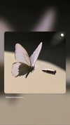 2sugari Altpins Profile Picture