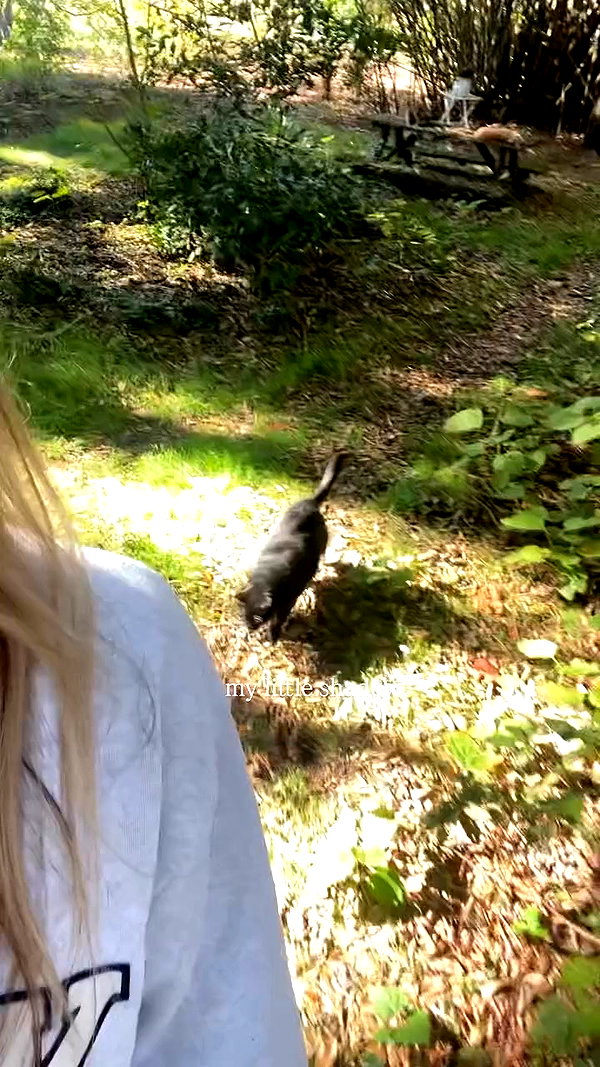 kaylasimmmons archive video preview