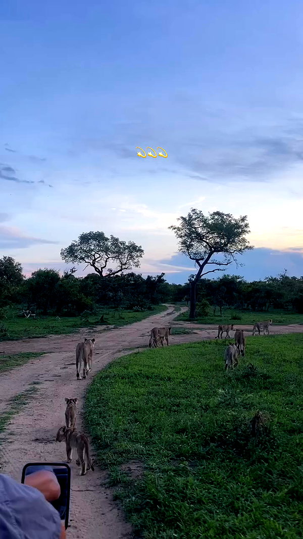 caseyjamess_ archive video preview
