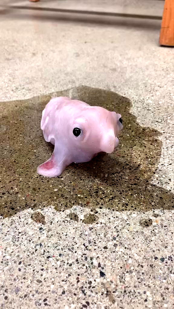 babynympho_archive archive video preview