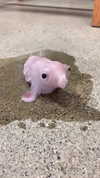 babynympho_archive Altpins Profile Picture
