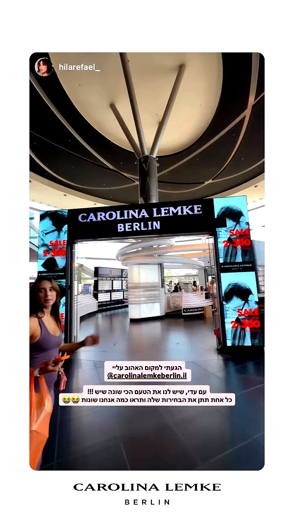 carolinalemkeberlin.il archive video preview