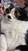 yuna_1_27 Altpins Profile Picture