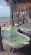 vanessa.rhd Altpins Profile Picture