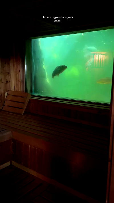 taylor.creeden taylor.creeden archive video