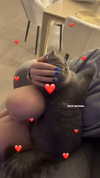 amatveyko Altpins Profile Picture