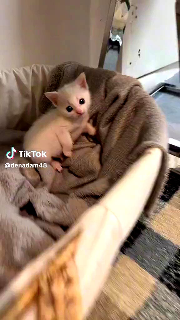 babynympho_archive archive video preview