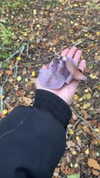 danafetishistova Altpins Profile Picture