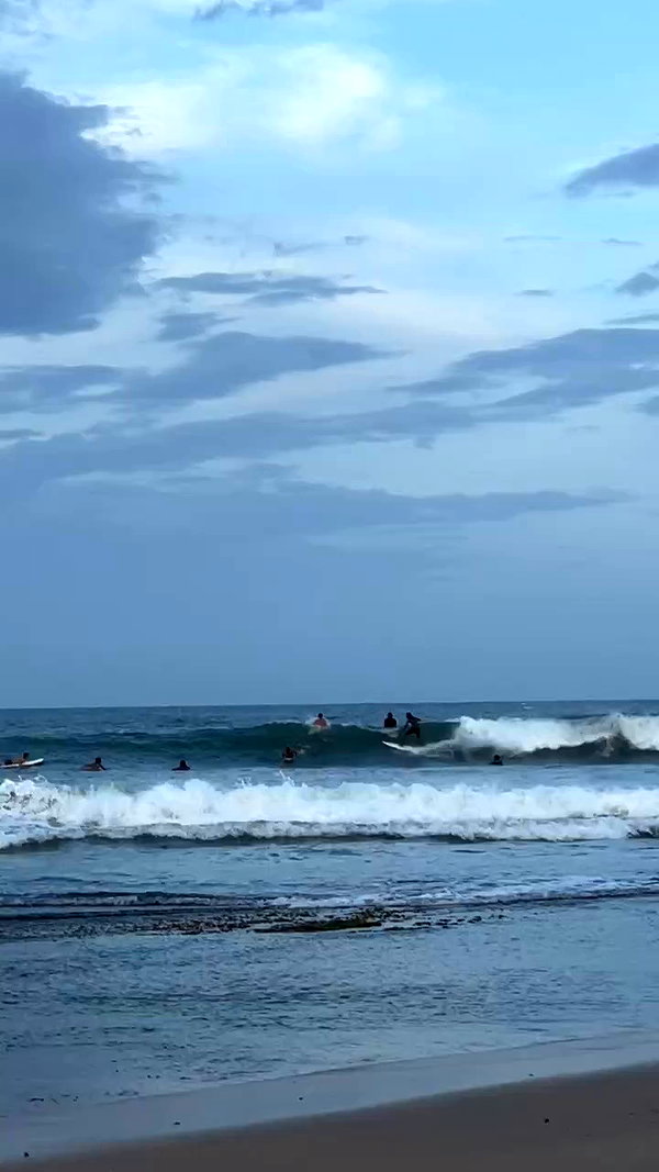 maori_cohen archive video preview