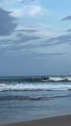 maori_cohen Altpins Profile Picture