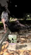 nyx_o_o_ Altpins Profile Picture