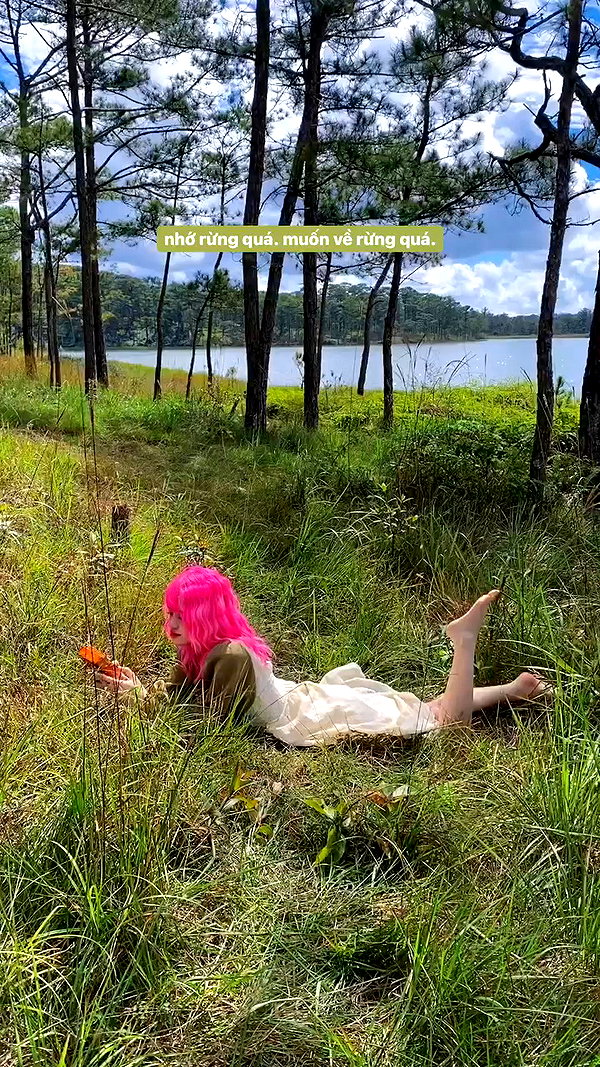 peaceplusyou archive video preview