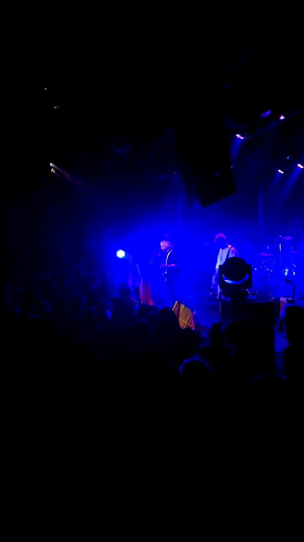 _allvi.pansk archive video preview