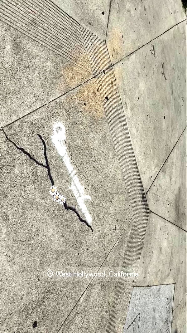 arianagrande archive video preview