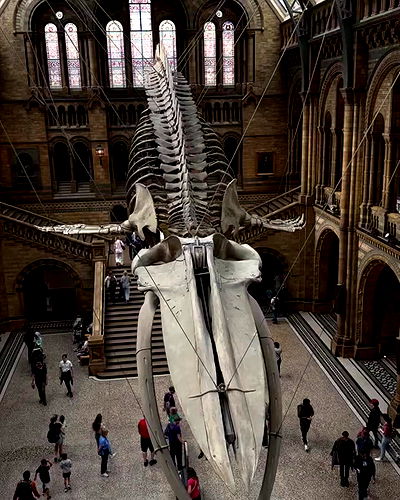 taylor.creeden taylor.creeden archive video